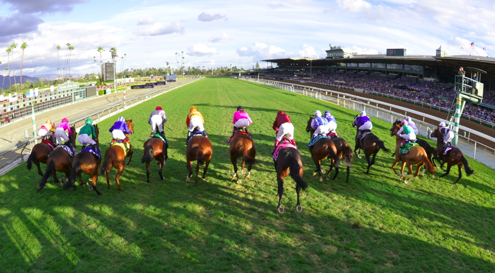 Breeders’ Cup PreEntries Announcement Will Be Streamed Live The Turf