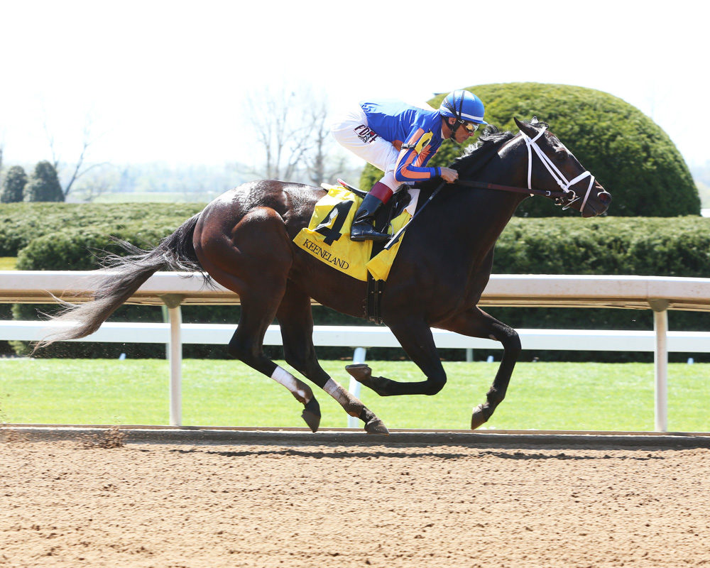 Stradivari Crushes Keeneland Allowance Race, Preakness Next?