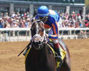 Stradivari winning an allowance race at Keeneland by 14 1/2 lengths - Coady Photography