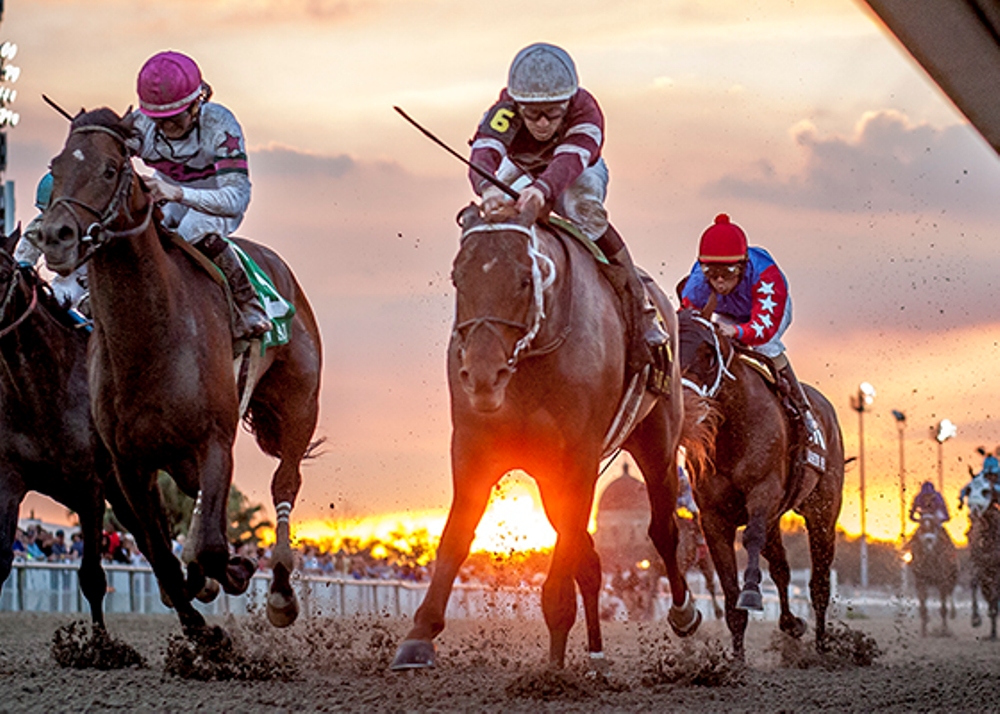 Kentucky Derby Handicapping Center The Turf Board